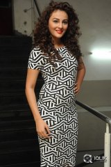 Seerat Kapoor at Tiger Movie Success Meet